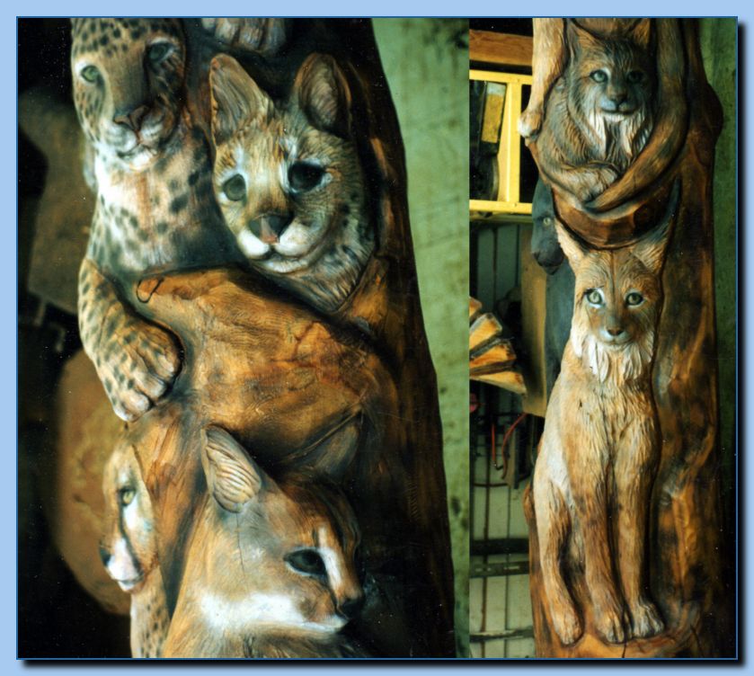 2 087 Totem Non Traditional Feline Pole Archive 012